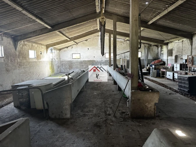 Loja para Venda em Arazede Foto 3