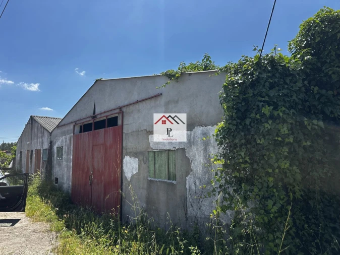 Loja para Venda em Arazede