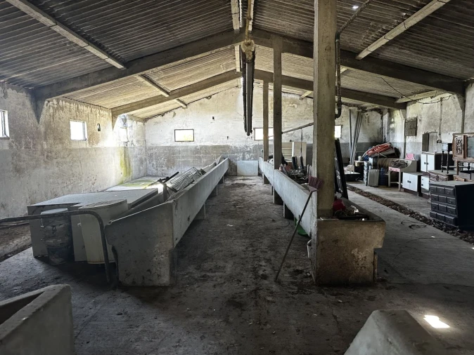 Loja para Venda em Arazede Foto 16