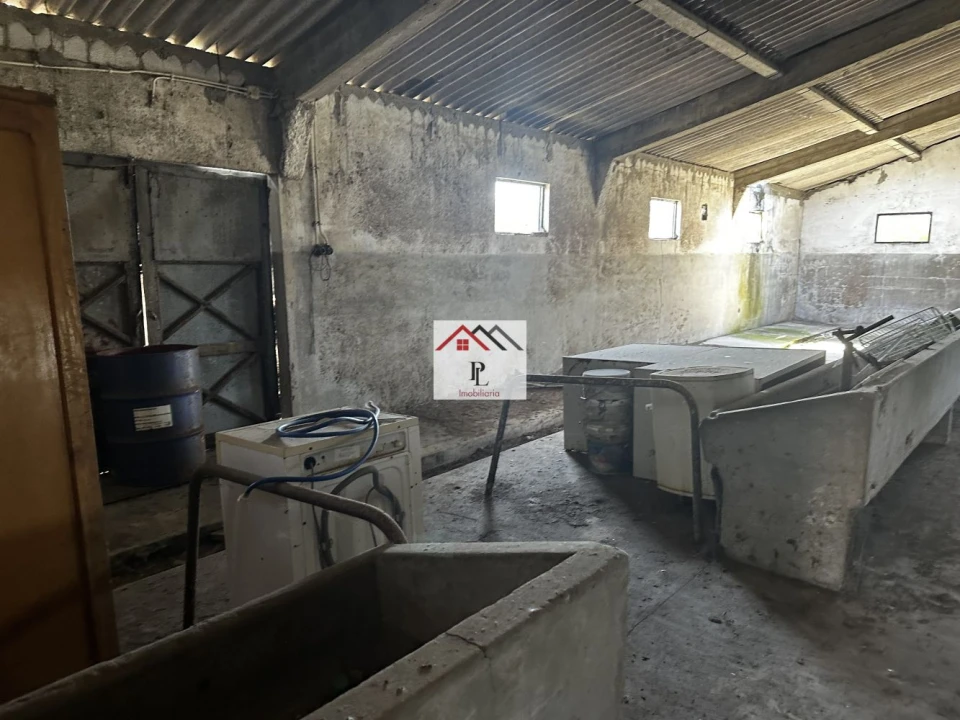 Loja para Venda em Arazede Foto 2