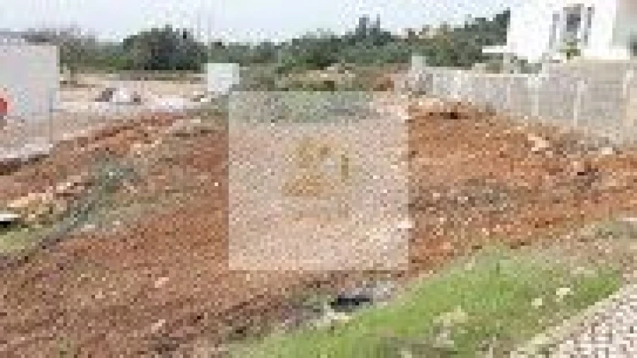 Terreno para Venda em Alcantarilha e Pêra Foto 8