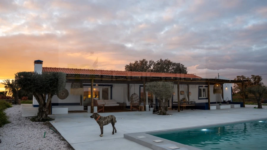 Quinta T3 para Venda em Pavia Foto 9