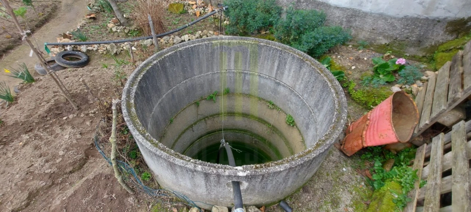 Terreno para Venda em Lagares Foto 4