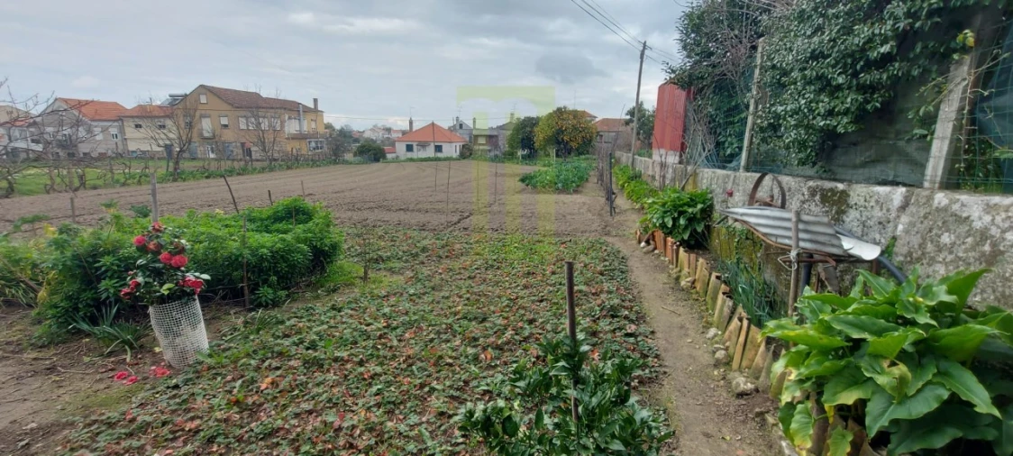 Terreno para Venda em Lagares Foto 1
