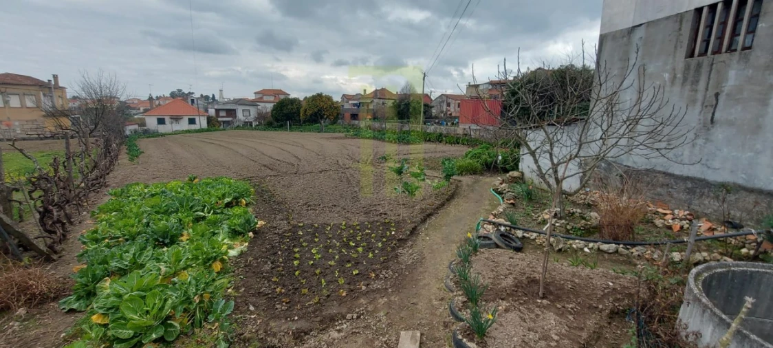 Terreno para Venda em Lagares Foto 2