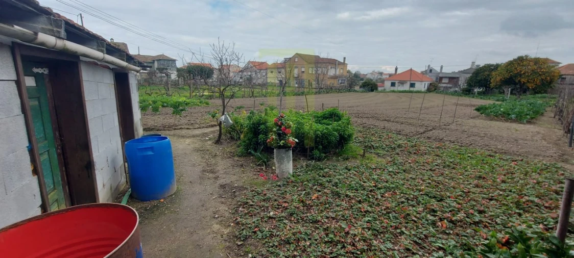 Terreno para Venda em Lagares Foto 3