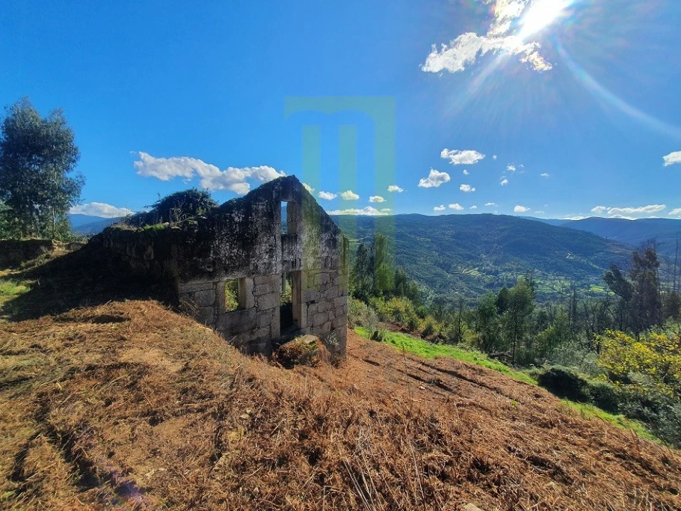 Quinta para Venda em Santa Ovaia e Vila Pouca da Beira Foto 3