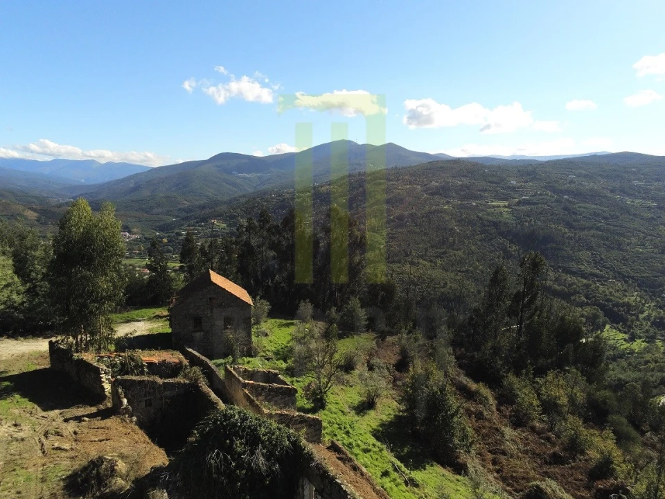 Quinta para Venda em Santa Ovaia e Vila Pouca da Beira Foto 4