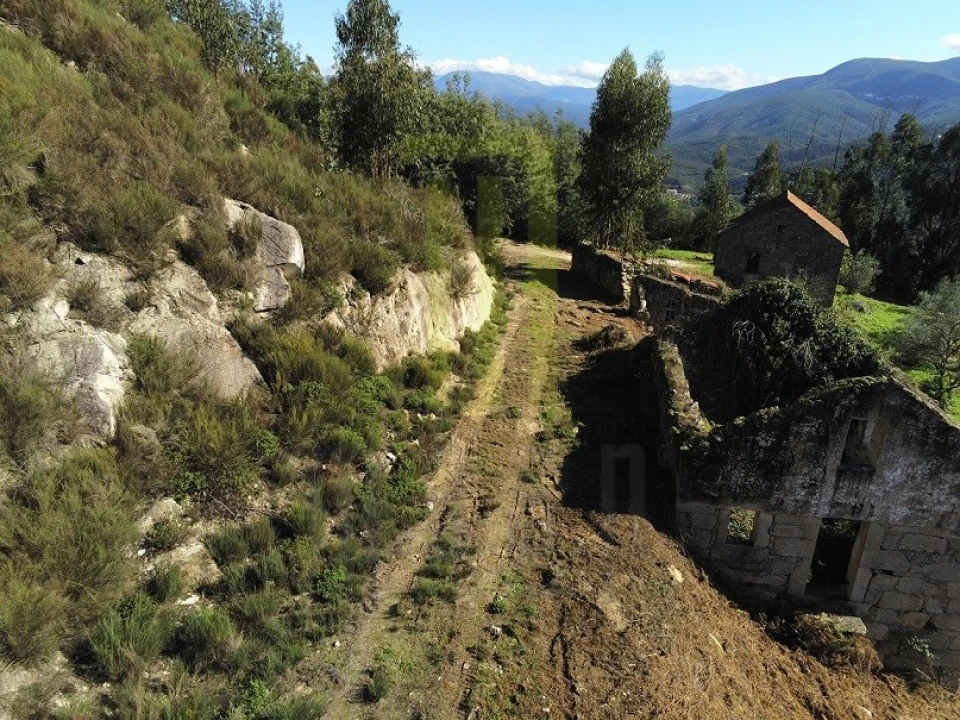 Quinta para Venda em Santa Ovaia e Vila Pouca da Beira Foto 9