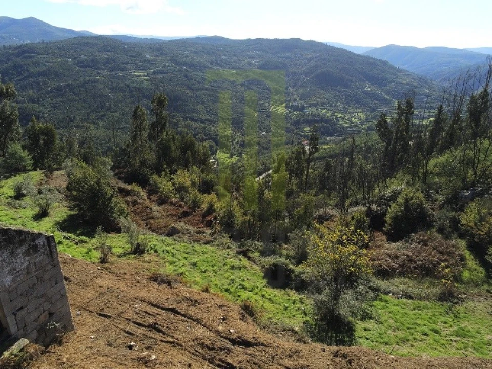 Quinta para Venda em Santa Ovaia e Vila Pouca da Beira Foto 10