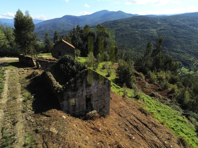 Quinta para Venda em Santa Ovaia e Vila Pouca da Beira Foto 6