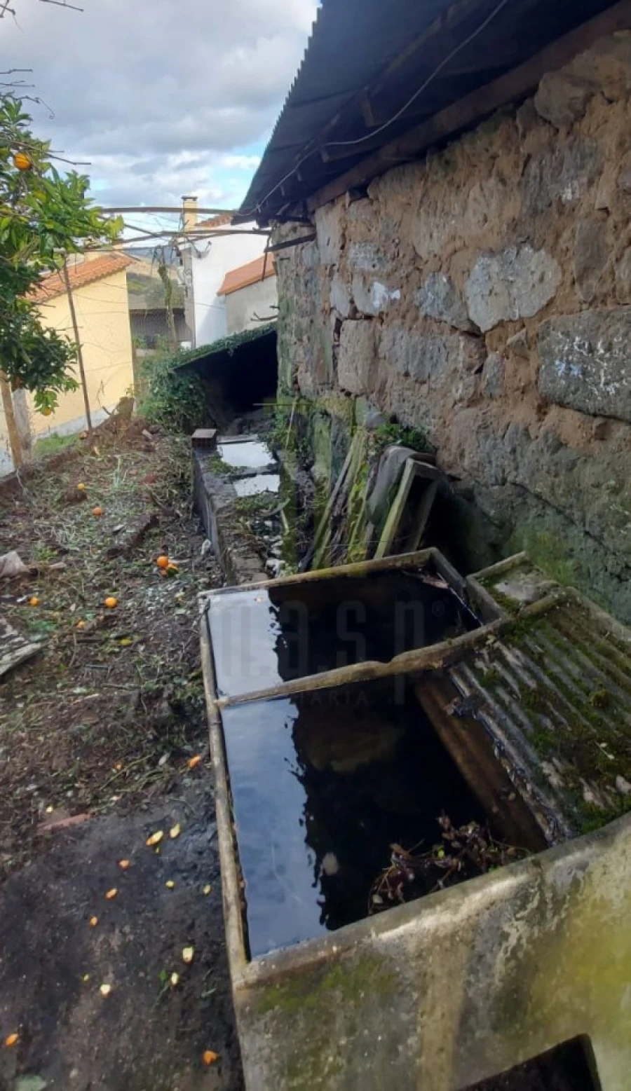 Moradia T1 para Venda em Seixo da Beira Foto 4