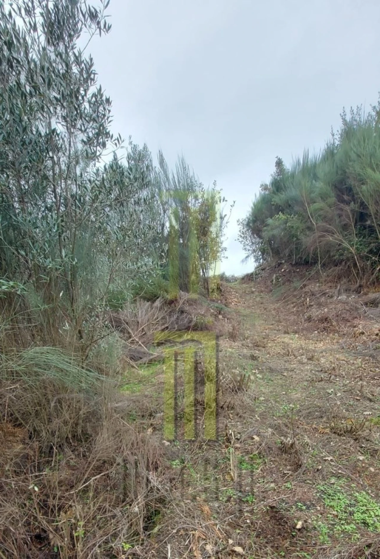 Terreno Agricola ou Rústico para Venda em Oliveira do Hospital e São Paio de Gramaços Foto 1