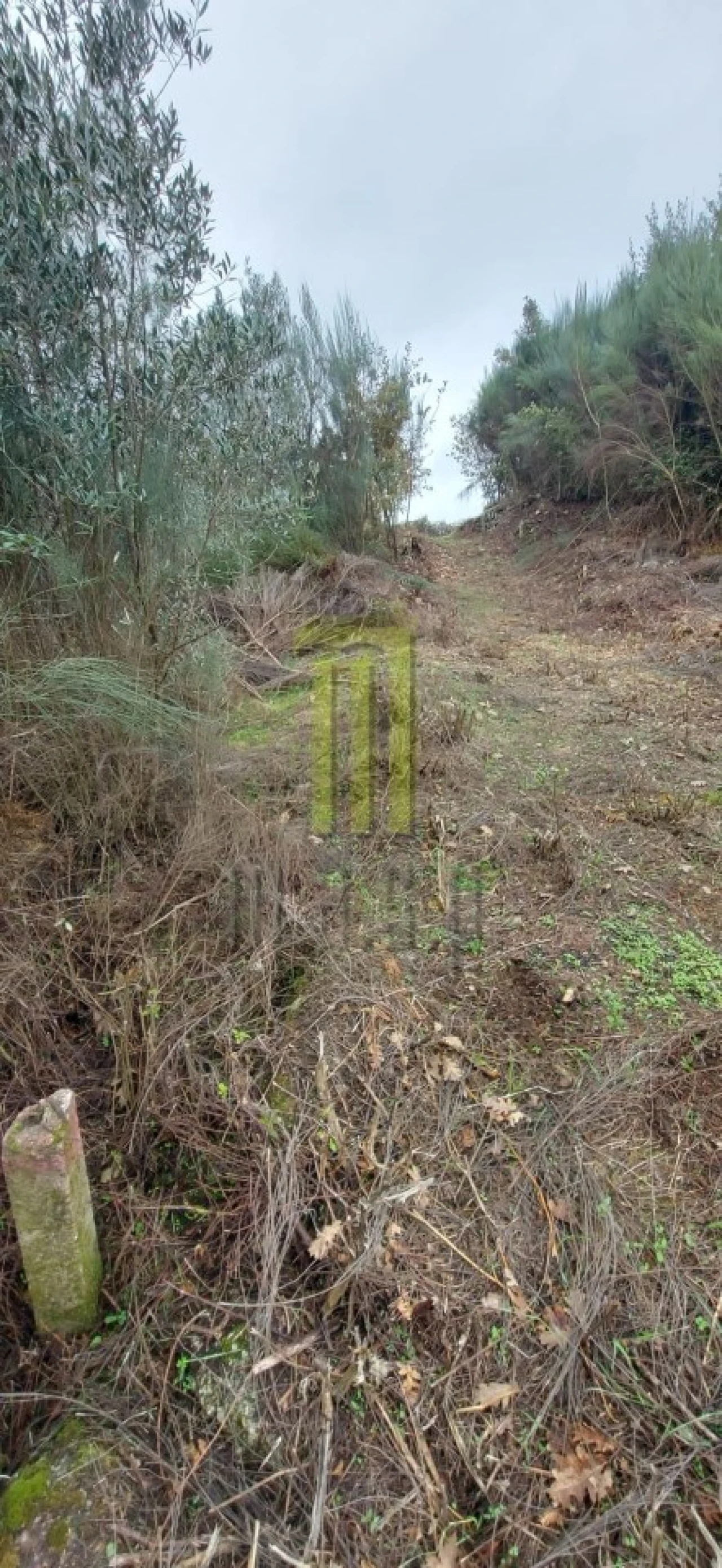 Terreno Agricola ou Rústico para Venda em Oliveira do Hospital e São Paio de Gramaços Foto 2