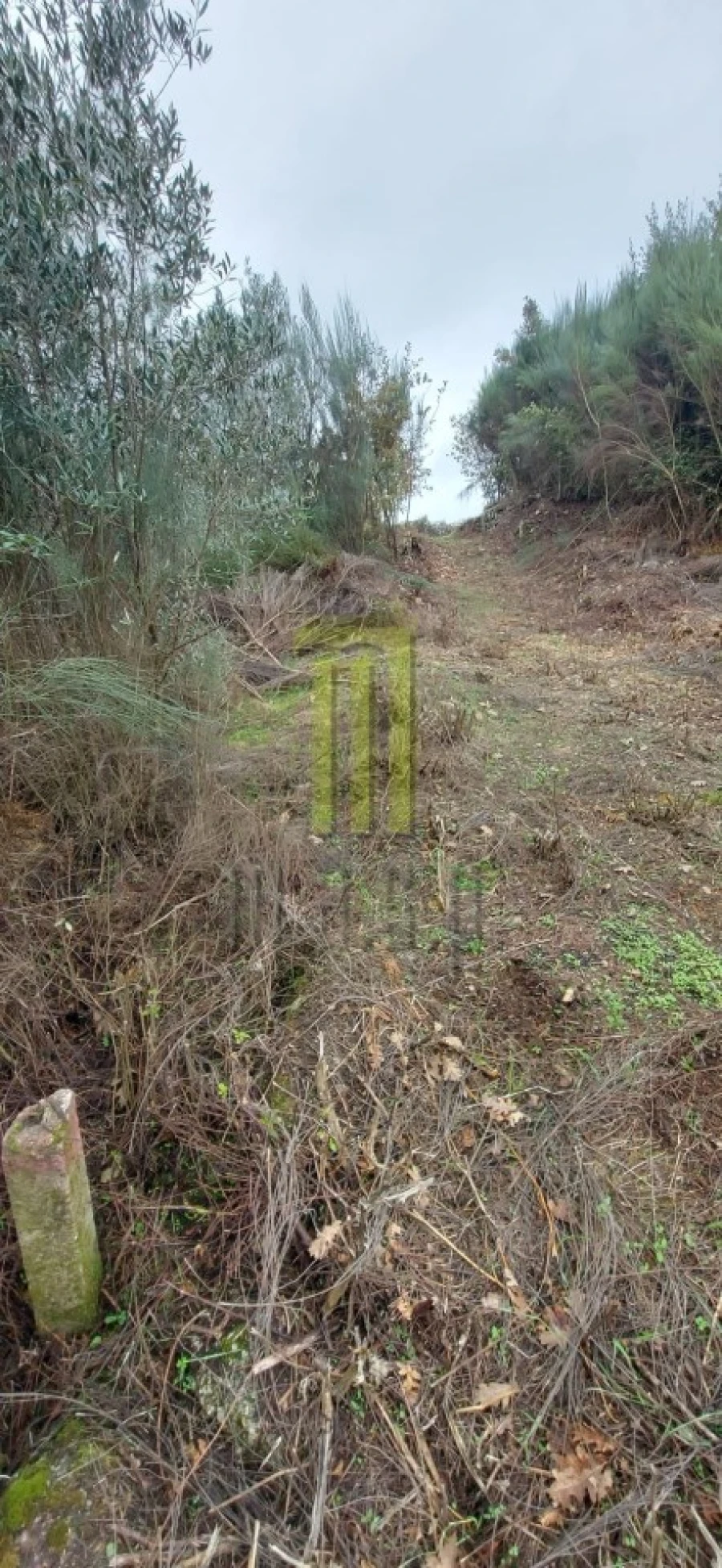 Terreno Agricola ou Rústico para Venda em Oliveira do Hospital e São Paio de Gramaços Foto 2