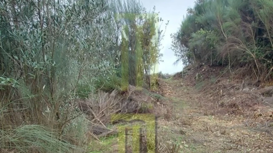 Terreno Agricola ou Rústico para Venda em Oliveira do Hospital e São Paio de Gramaços