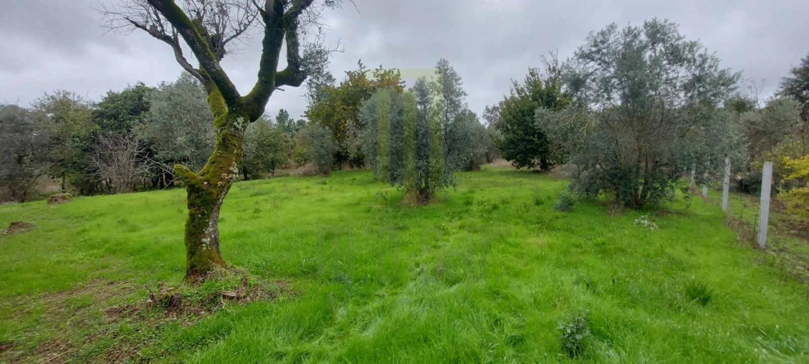 Terreno Agricola ou Rústico para Venda em Oliveira do Hospital e São Paio de Gramaços Foto 1