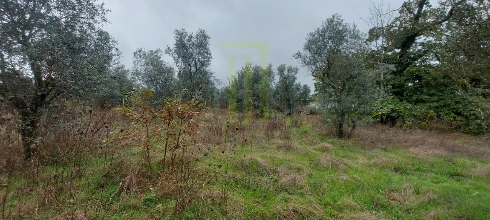 Terreno Agricola ou Rústico para Venda em Oliveira do Hospital e São Paio de Gramaços Foto 3