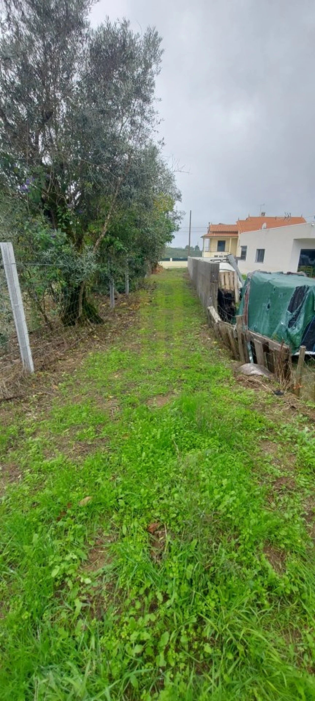 Terreno Agricola ou Rústico para Venda em Oliveira do Hospital e São Paio de Gramaços Foto 5