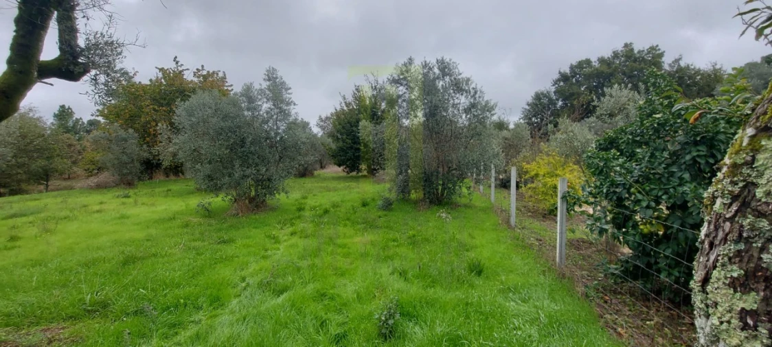 Terreno Agricola ou Rústico para Venda em Oliveira do Hospital e São Paio de Gramaços Foto 2