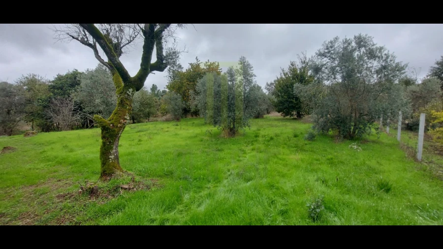 Terreno Agricola ou Rústico para Venda em Oliveira do Hospital e São Paio de Gramaços