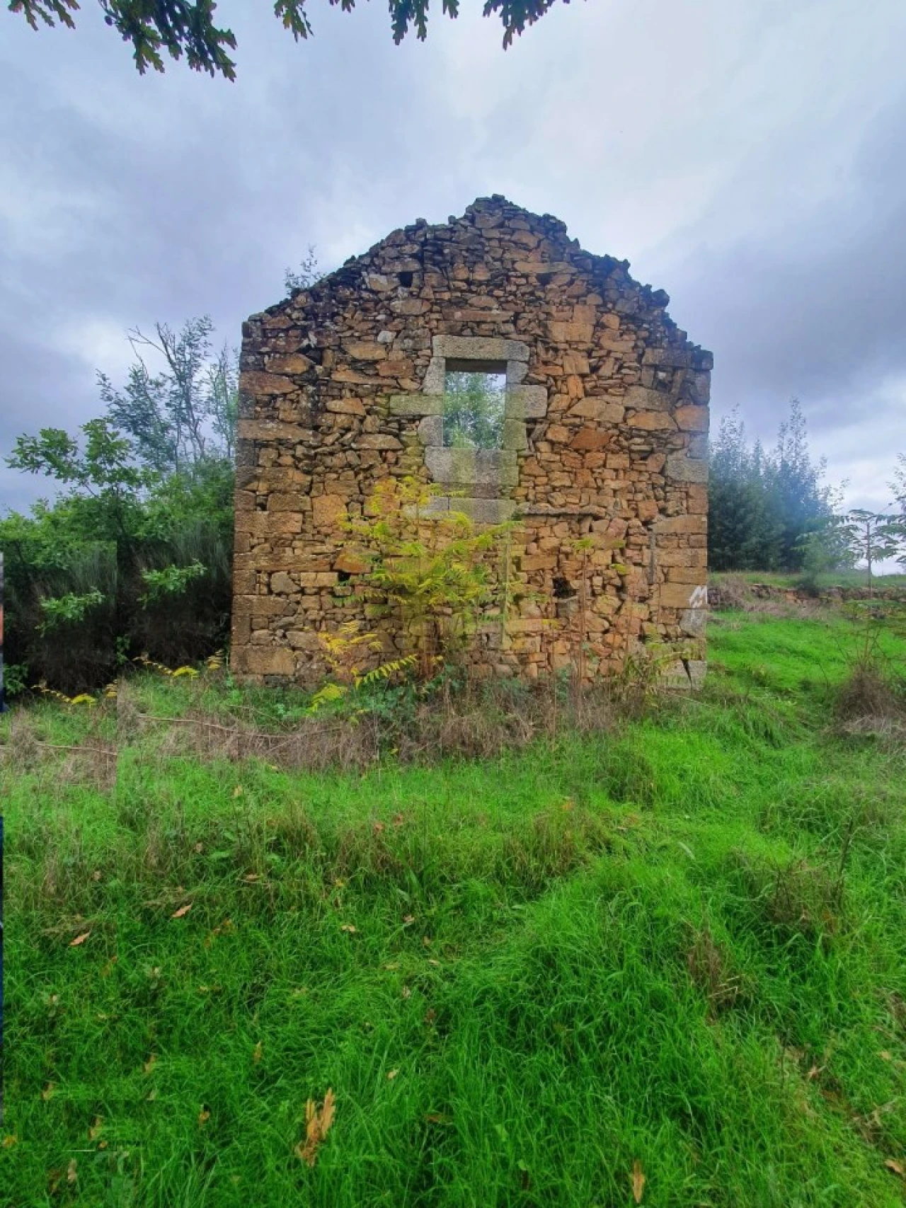 Quinta para Venda em Santa Ovaia e Vila Pouca da Beira Foto 1