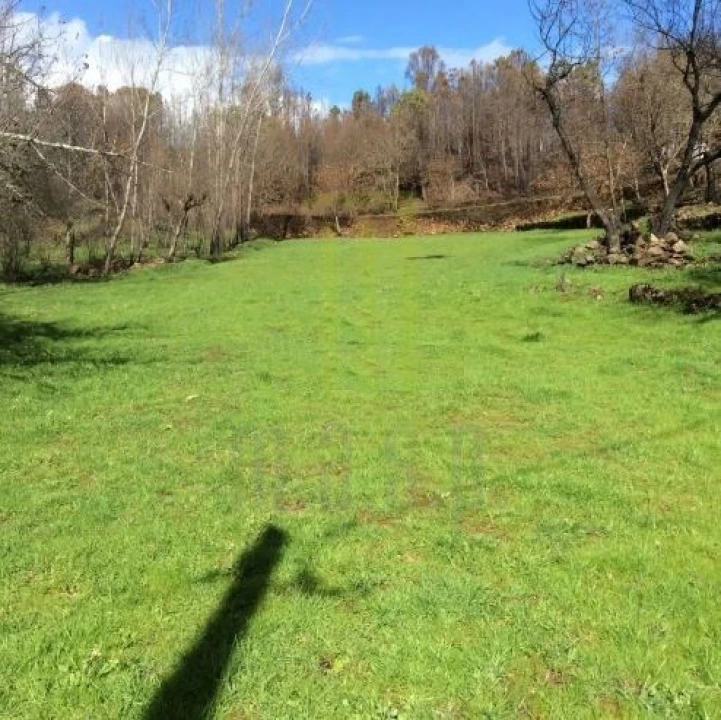 Quinta para Venda em Santa Ovaia e Vila Pouca da Beira Foto 4