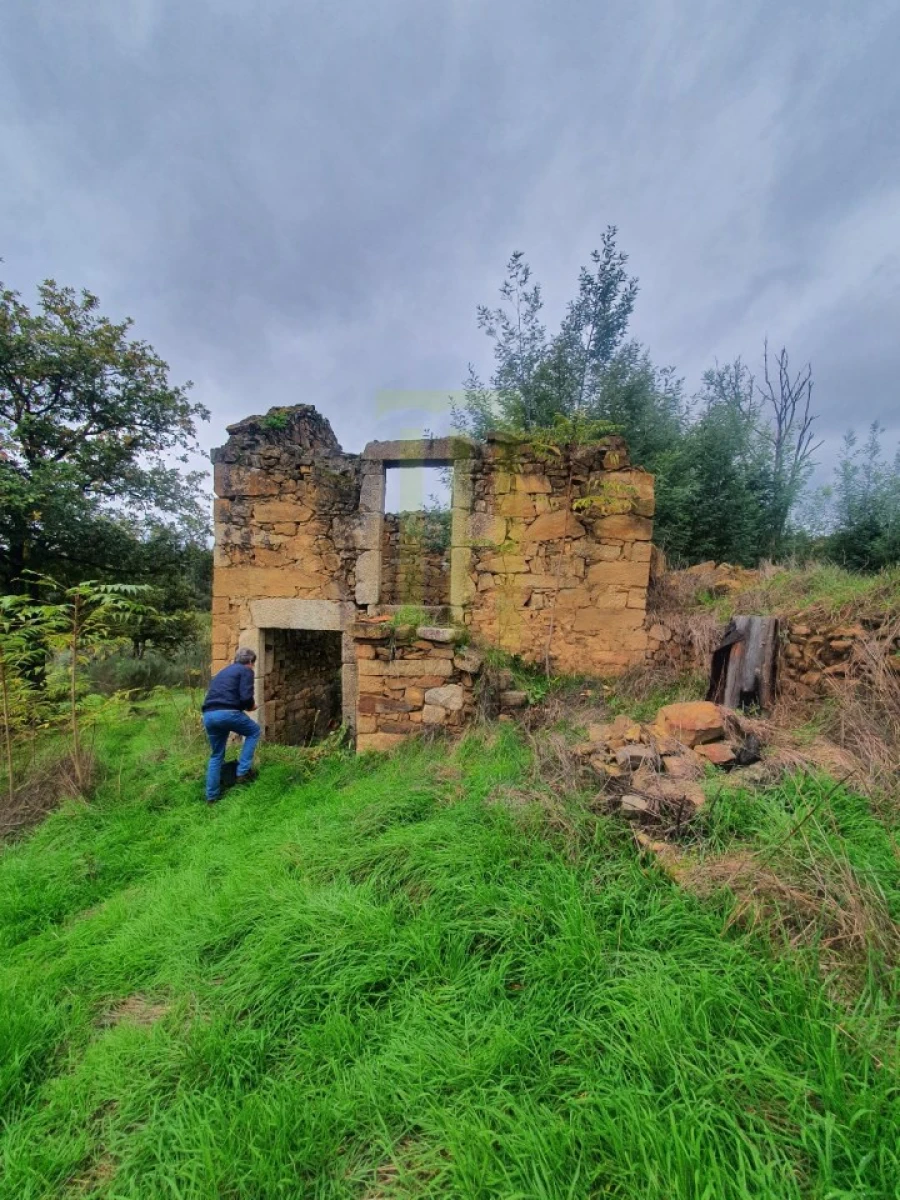 Quinta para Venda em Santa Ovaia e Vila Pouca da Beira Foto 2
