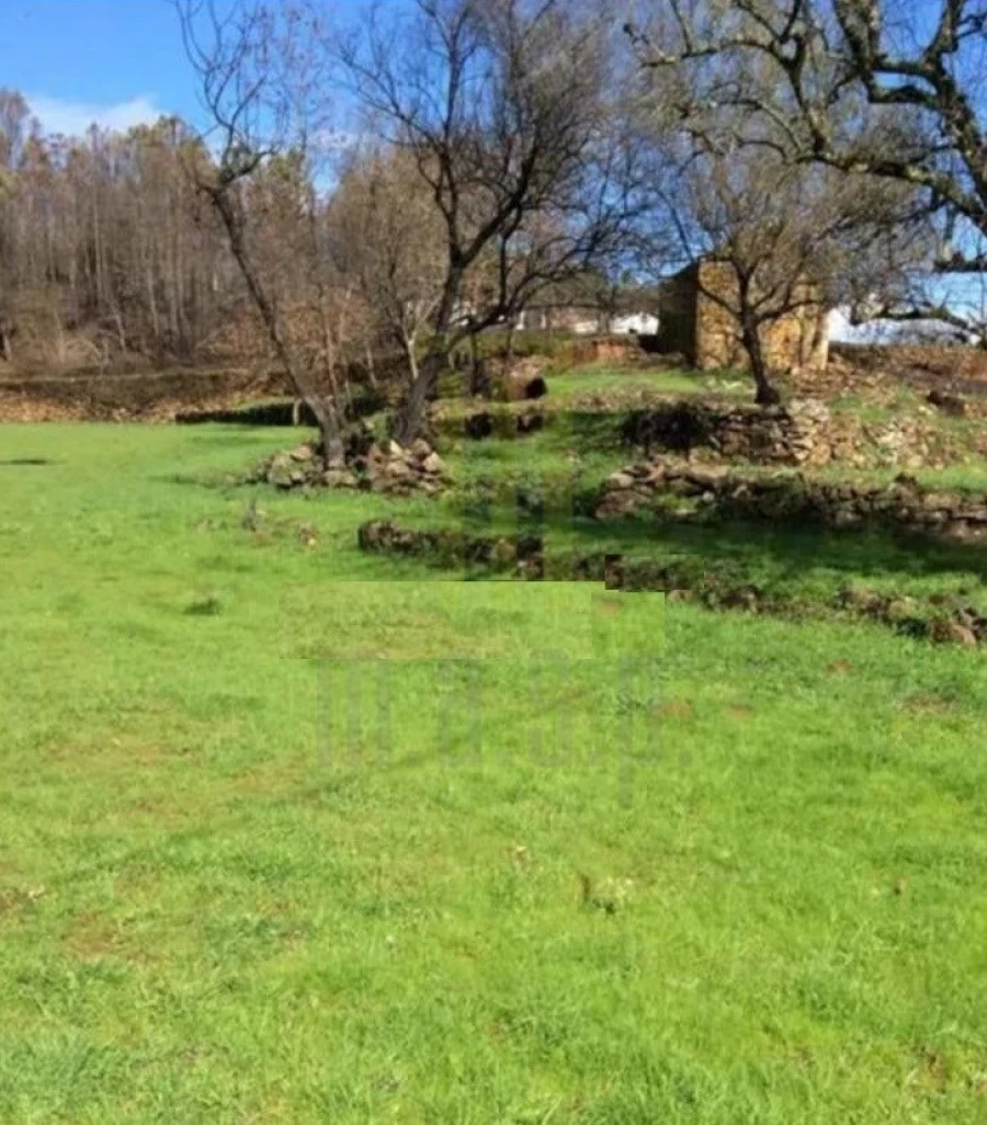 Quinta para Venda em Santa Ovaia e Vila Pouca da Beira Foto 3