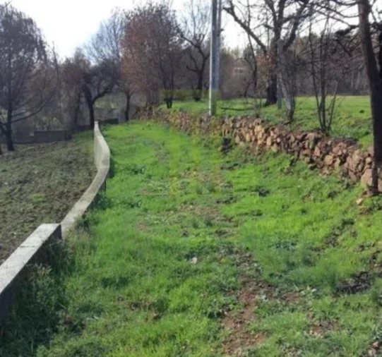 Quinta para Venda em Santa Ovaia e Vila Pouca da Beira Foto 5