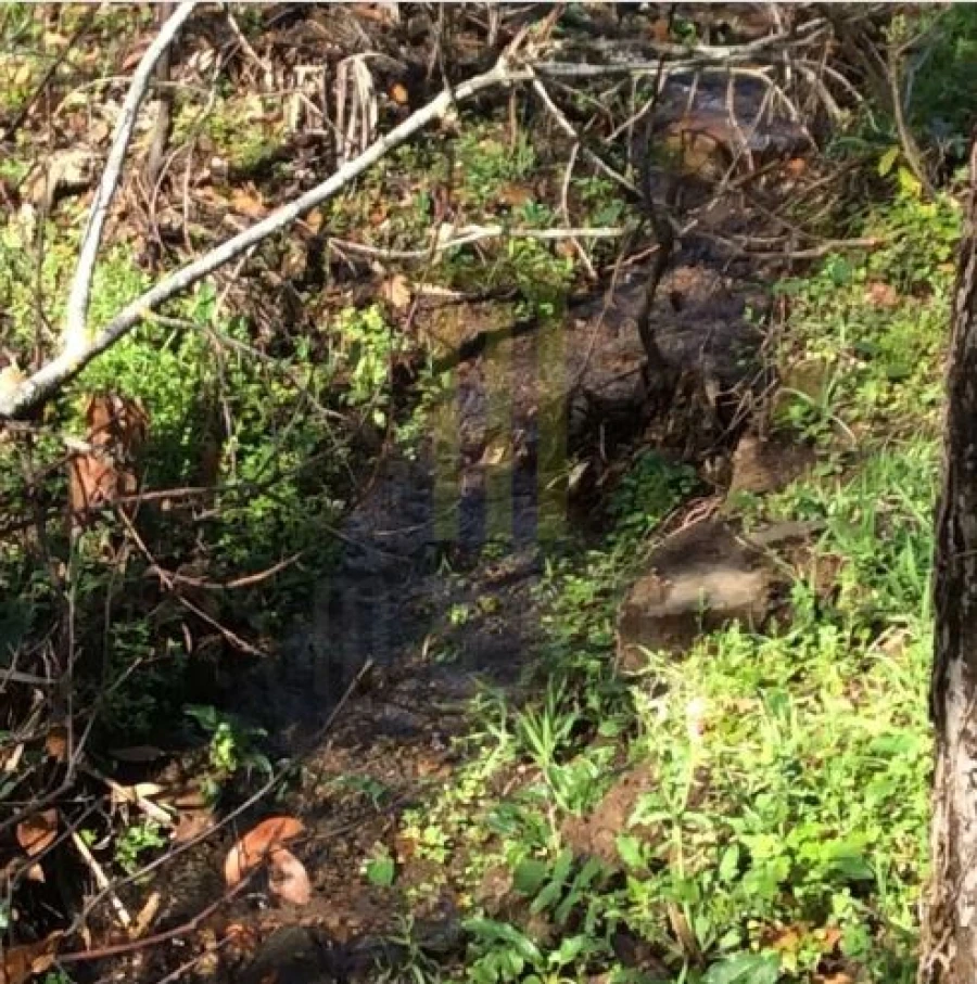 Quinta para Venda em Santa Ovaia e Vila Pouca da Beira Foto 6