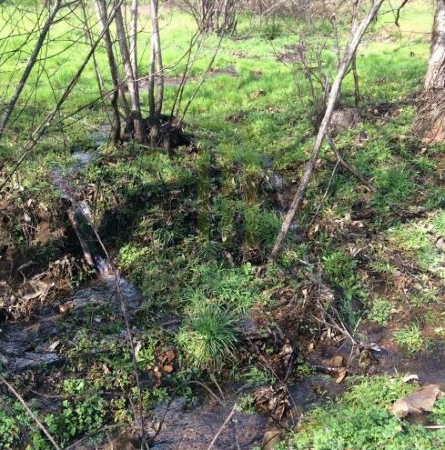 Quinta para Venda em Santa Ovaia e Vila Pouca da Beira Foto 7