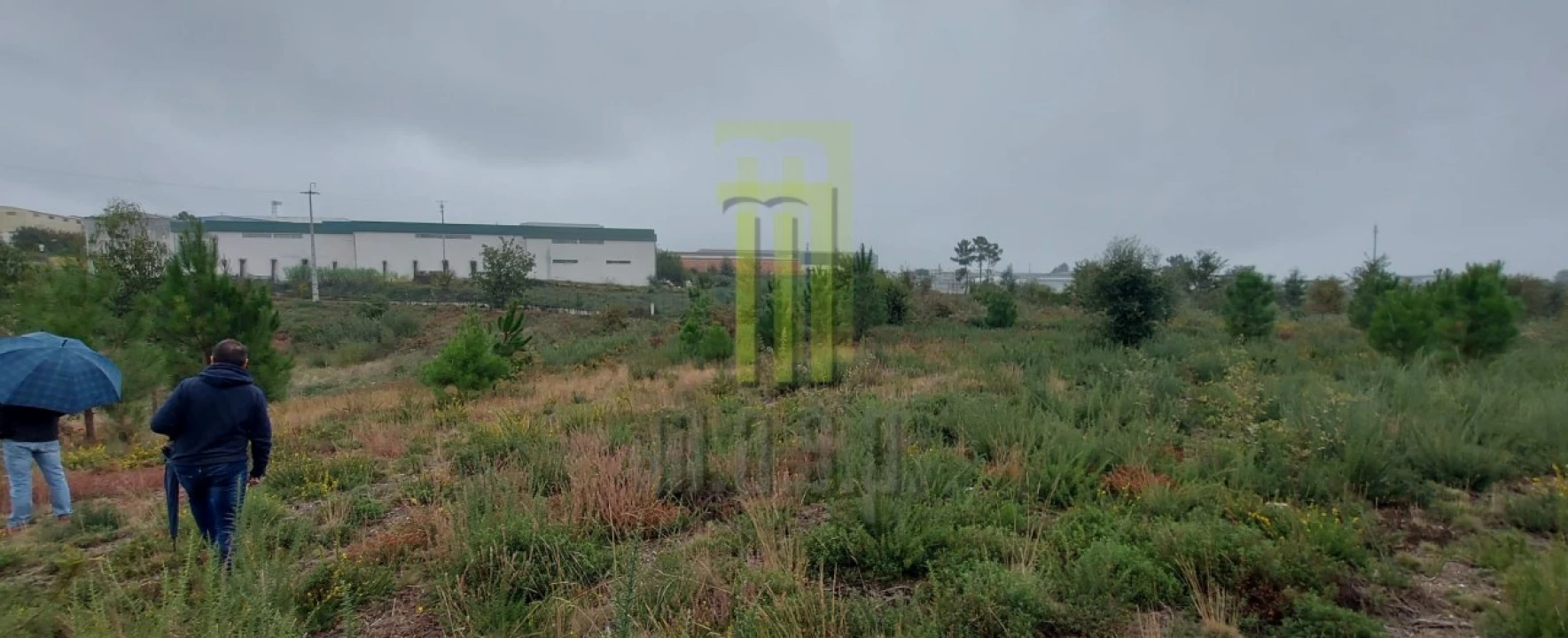 Terreno Agricola ou Rústico para Venda em Oliveira do Hospital e São Paio de Gramaços Foto 2