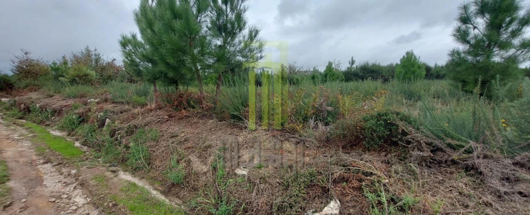 Terreno Agricola ou Rústico para Venda em Oliveira do Hospital e São Paio de Gramaços Foto 5