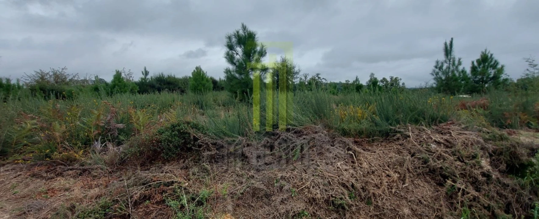 Terreno Agricola ou Rústico para Venda em Oliveira do Hospital e São Paio de Gramaços Foto 6