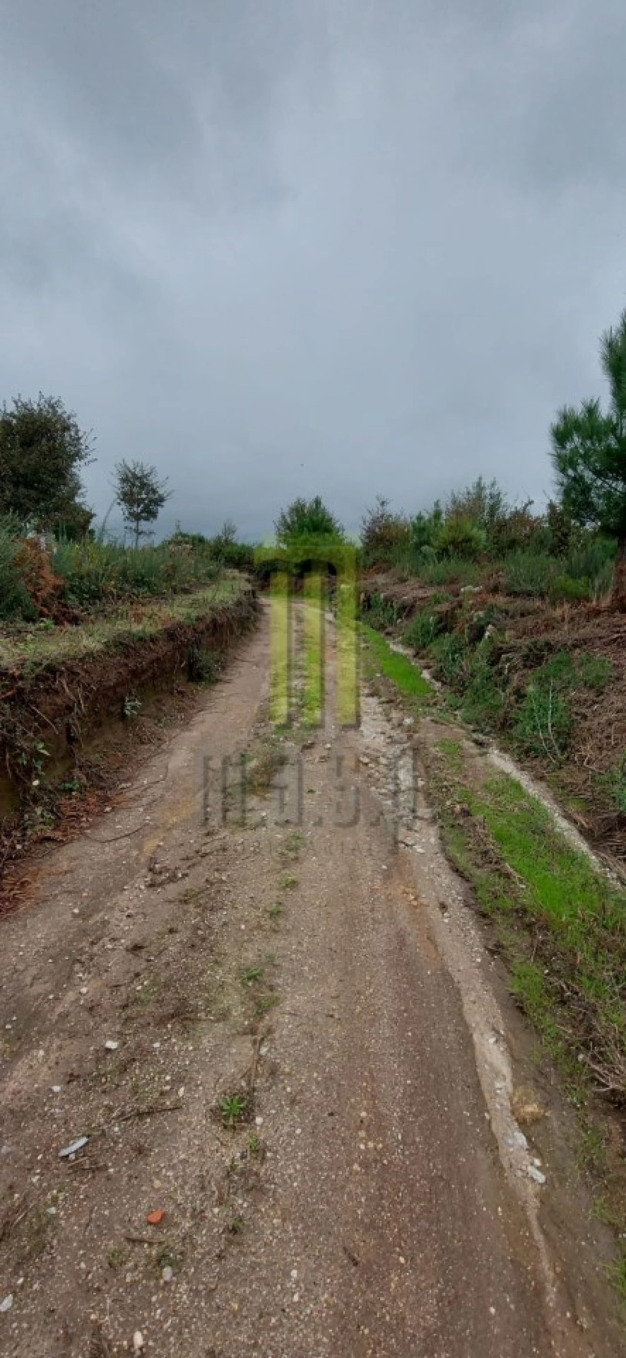 Terreno Agricola ou Rústico para Venda em Oliveira do Hospital e São Paio de Gramaços Foto 8