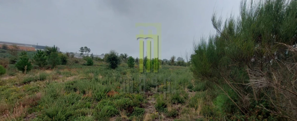 Terreno Agricola ou Rústico para Venda em Oliveira do Hospital e São Paio de Gramaços Foto 1