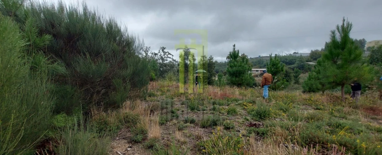 Terreno Agricola ou Rústico para Venda em Oliveira do Hospital e São Paio de Gramaços Foto 3