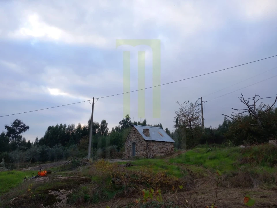 Quinta para Venda em Lagares Foto 1