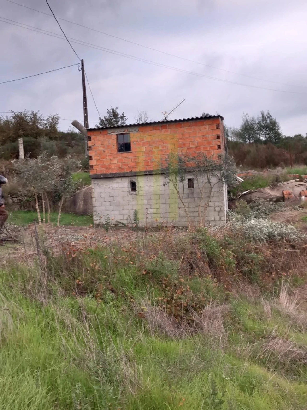 Quinta para Venda em Lagares Foto 4