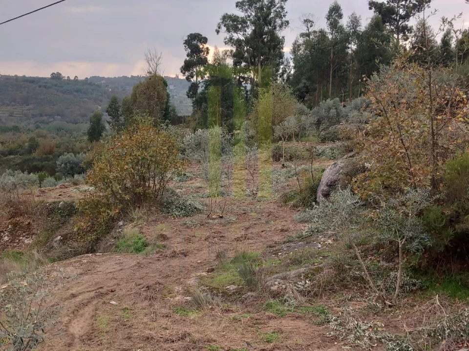 Quinta para Venda em Lagares Foto 7