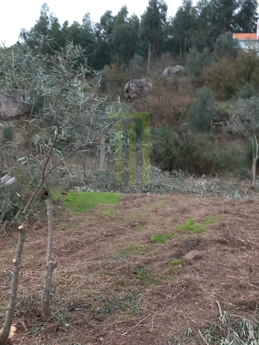 Quinta para Venda em Lagares Foto 10