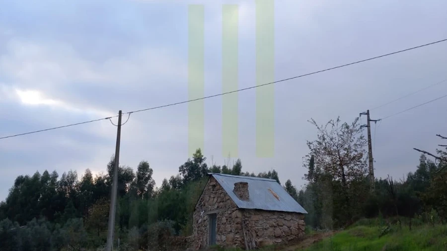 Quinta para Venda em Lagares