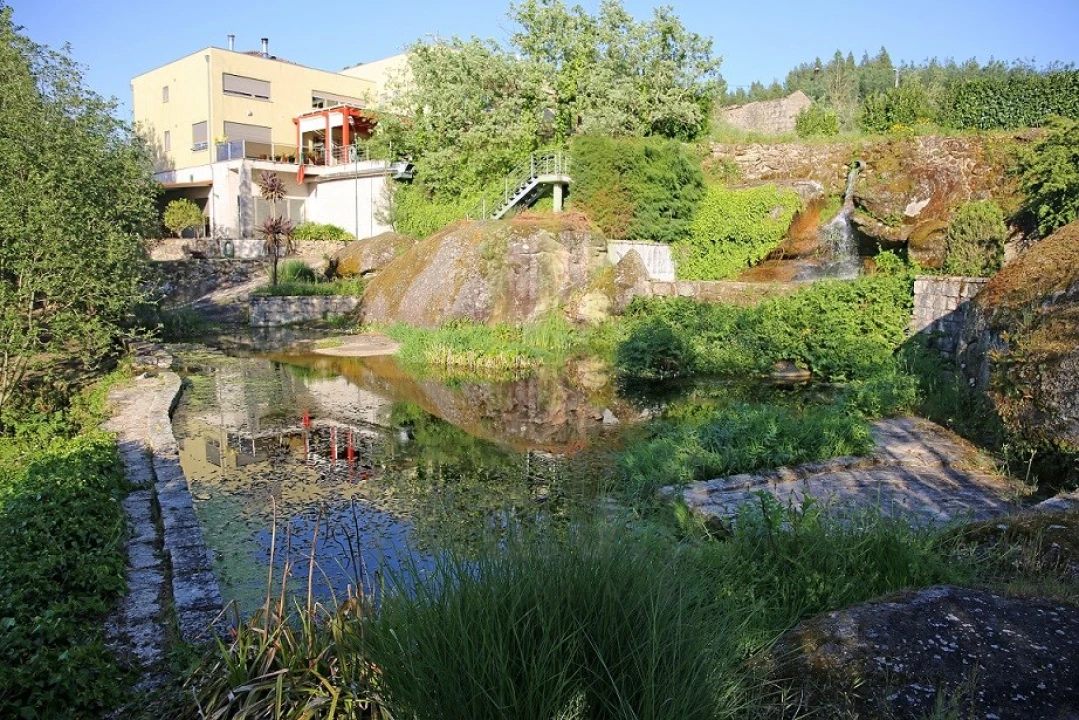 Negócio para Venda em Lagares Foto 24
