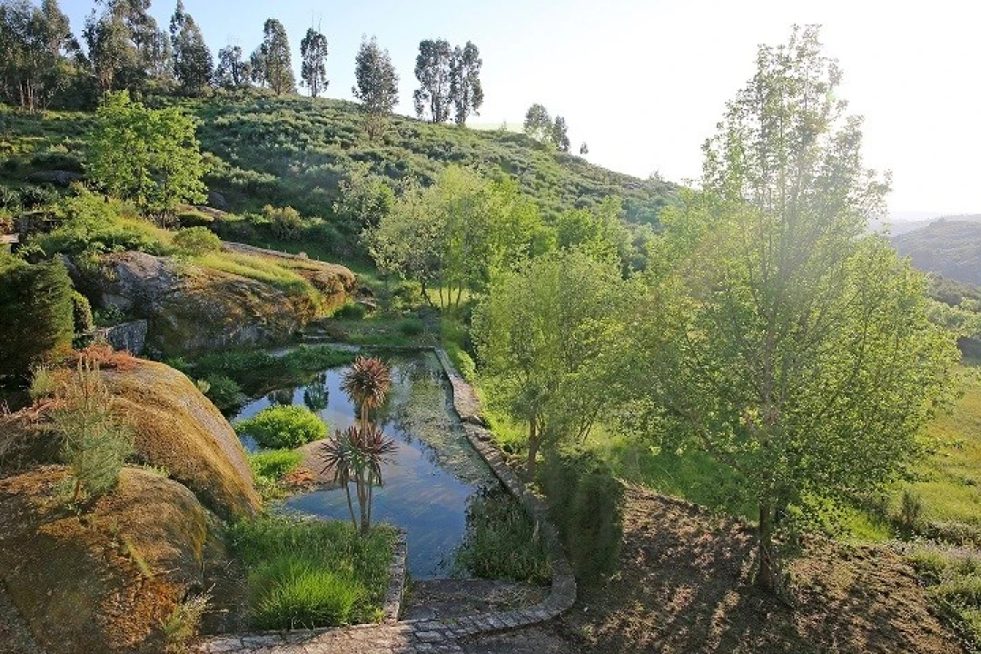 Negócio para Venda em Lagares Foto 29