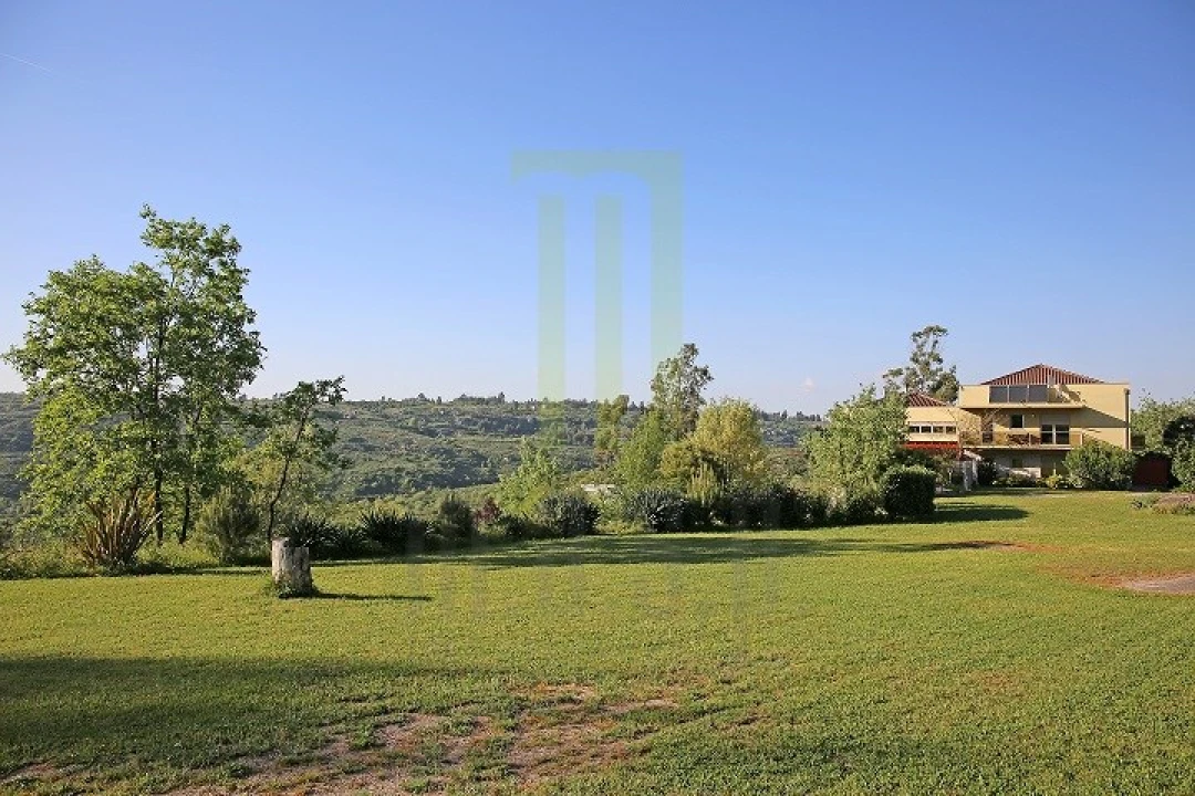 Negócio para Venda em Lagares Foto 30