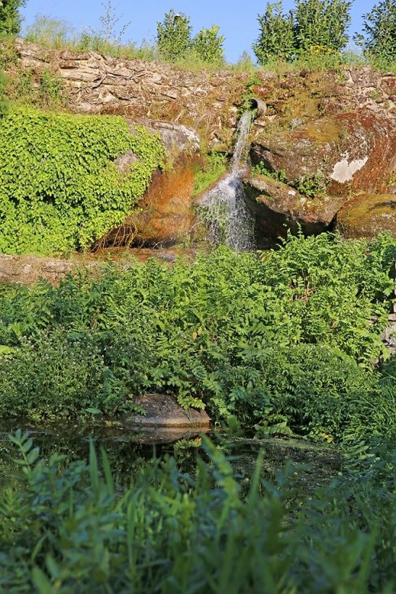 Negócio para Venda em Lagares Foto 33