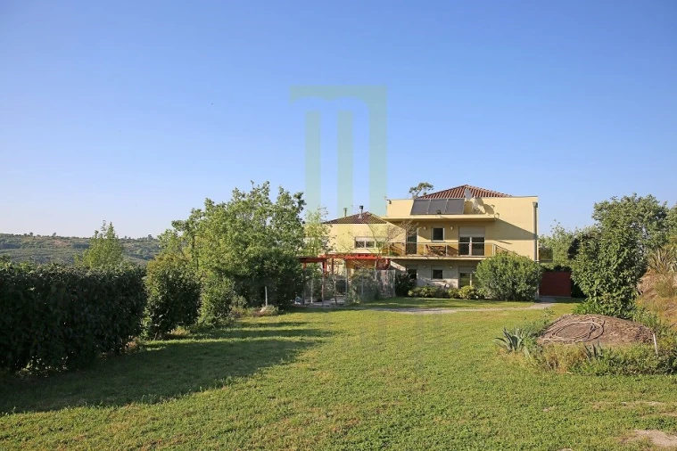 Negócio para Venda em Lagares Foto 3