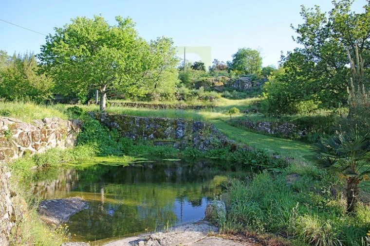 Negócio para Venda em Lagares Foto 31