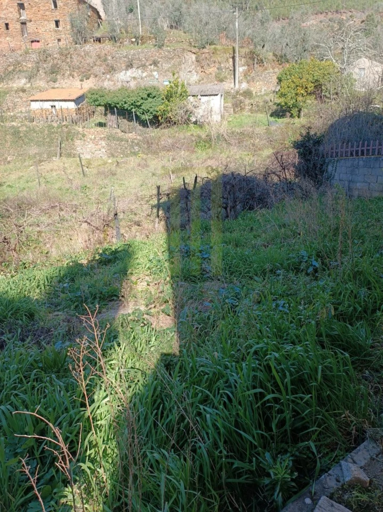 Quinta T3 para Venda em São Gião Foto 16